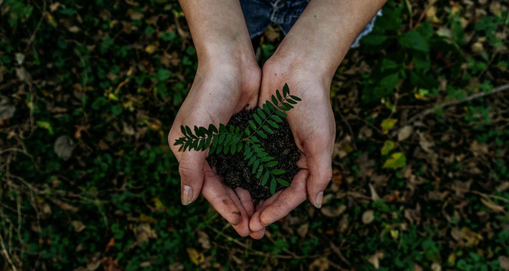 Se reconnecter avec la terre Graines en Soi à Dole